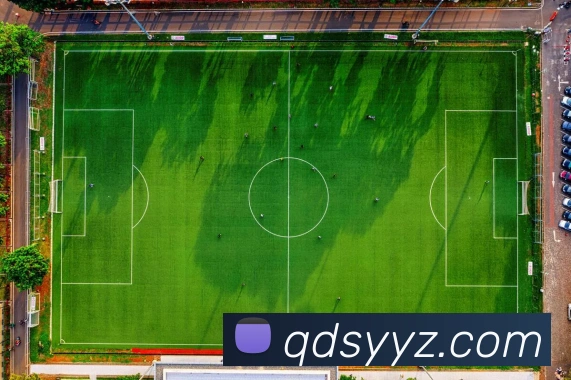 App Interface Preview